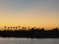 2011 11 30 lake worth palm tree silhouette - Copy RESIZE