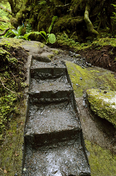20160706 2906 cascade creek trail rock stairs r