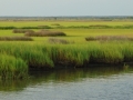 2012-07-11 sc icw marsh RESIZE